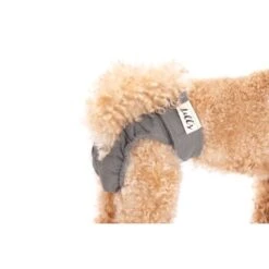 Lills Läufigkeitshöschen "Lou" Pink Berry Grau XXL 7 Lills Läufigkeitshöschen "Lou" Pink Berry Grau XXL -Haustierprodukte 2510182477e0473189522ab4c4eec9318a5ab186 1662393 de DE e81483ca839e45ba2b9fb54d71ddd02dbfa55b06LbZw0y