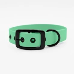 THE DOG IDEA Biothane Halsband Mint Schwarz XS -Haustierprodukte 25cf8844167d35dc6a0ede8247bd0c1c48926912 1679203 de DE 5dfc334cca991c733ec62b12b4247e7b946f4cb7XO7Lzj