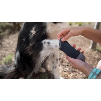 Ruffwear Bark'n Boot Liners™ Socken M 4 Ruffwear Bark'n Boot Liners™ Socken M – Bild 4