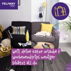 Feliway Help! 3x Nachfüllkartusche Zur Stressreduzierung -Haustierprodukte 29ae770ba9b7f1bf9cec9031f7a2f9aa2f9f9bf4 1380137 6