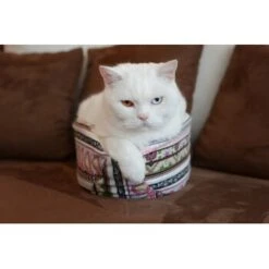 Canadian Cat Company Katzenschiff LUNA -Haustierprodukte 2a794931f9263820d298c92486fc08c7b5fe3a35 1412669 de DE 46780a4b5da8fe052e5be00462eb02991658c41f2ZgeMs