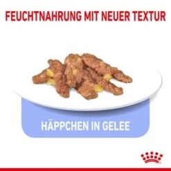 ROYAL CANIN Indoor 7+ Sterilised 12x85g In Gelee -Haustierprodukte 2ac73319ef26a247164613394d14bf77efb45bce d4c33ab519798301c6f7fb673518e83739335f2d