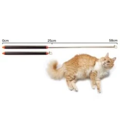 Schlitzohr Stabile Katzenangel Arnold 10 Schlitzohr Stabile Katzenangel Arnold -Haustierprodukte 2b03aaa8061d454c3b132f3d29075b579f022315 1484671 de DE 4db6a969e0582cf4b987acff93cb66c6c6149da6OAB1hx