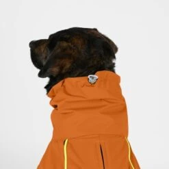 THE DOG IDEA Regenmantel Duke Orange XXXS 8 THE DOG IDEA Regenmantel Duke Orange XXXS -Haustierprodukte 2c464c8150423d80739b1409ce956e12c7928827 1473000 de DE 974a3540330c77e50b2a59dc10e705f1dbfc6716V9PfXa