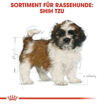 ROYAL CANIN Shih Tzu Puppy 1,5kg 5 ROYAL CANIN Shih Tzu Puppy 1,5kg – Bild 5