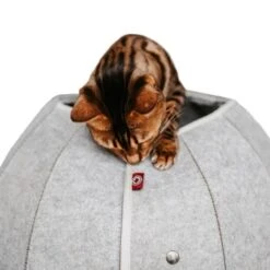 Canadian Cat Company Katzenhöhle In Kugelform S 11 Canadian Cat Company Katzenhöhle In Kugelform S -Haustierprodukte 2ecb868df2d3b2cf90a9092caebd3c19caa20008 1347679 de DE 9620a1f8944edc55aec2b992d490644e015c022abD41s1