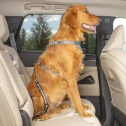 Kurgo Swivel Tether Hunde-Sicherheitsgurt 14 Kurgo Swivel Tether Hunde-Sicherheitsgurt -Haustierprodukte 307a4c5f050b6142fe4c665bdeaa3a0be0385ec3 1481164 de DE 8cf1d51712fee99749a185998fab0d1502a24f68v0gDmS