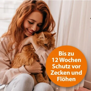 Ardap Spot-On Für Katzen S 4 Ardap Spot-On Für Katzen S – Bild 4