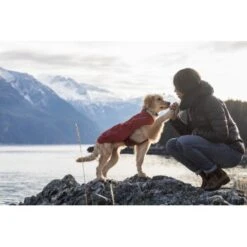 Ruffwear Overcoat™ Hundejacke Rot M 12 Ruffwear Overcoat™ Hundejacke Rot M -Haustierprodukte 32b81091541e421621a809b75c62062d90eca320 1369977 de DE e6611e4bd31113b7d836455a75813df21f681f8eLLYoOv