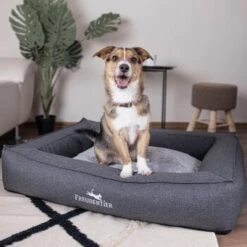 Freudentier Orthopädisches Box Hundebett Siebenschläfer M -Haustierprodukte 32de9266716854cdaed24d4e14dc10e4656a1fe7 1477909 de DE a1d3b17f0715bf9005338fd2dbe5c71fb79f4226UdMUzr