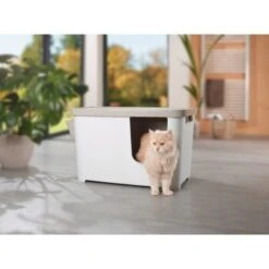 MORE FOR Katzentoilette XXL Titan -Haustierprodukte 331a65ecbdbda6a54304894f23caf93293414f9a 41a7dcb3b92b8da7531785b268f381c1b25bbf04