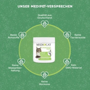 MediCat Ulmenrinde Paste 2 MediCat Ulmenrinde Paste – Bild 2