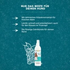MediDog Dental Fresh & Clean 7 MediDog Dental Fresh & Clean -Haustierprodukte 343cceef613c074ed5b447a70d31269a870cf15d 1499660 de DE f2641cc7f5b00beb77fbbf61330ce24716292663yYZq7c