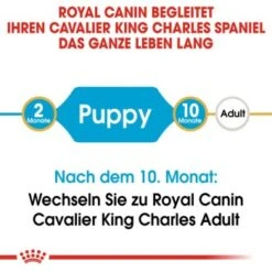 ROYAL CANIN Cavalier King Charles Puppy 1,5kg -Haustierprodukte 351d8967b79c2aa3220f439f5defd257f044c875 ae6b47d46558763e00a21f55c8e88bb0aea3a17d