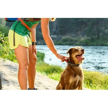 Ruffwear Quick Draw™ Leine 6 Ruffwear Quick Draw™ Leine – Bild 6