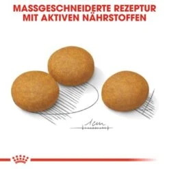 ROYAL CANIN Dermacomfort Maxi 12 Kg 12 ROYAL CANIN Dermacomfort Maxi 12 Kg -Haustierprodukte 374b27f3da451fce8be3c7bc6d0990b58088e8da 1376168 de DE aosa 7