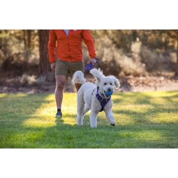 Ruffwear Huckama™ Spielzeug Violett 7 Ruffwear Huckama™ Spielzeug Violett – Bild 7