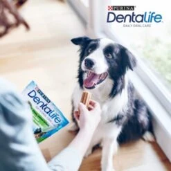 DentaLife PURINA Hunde Zahnpflege-Snacks Großpackung Medium, 84x 9 DentaLife PURINA Hunde Zahnpflege-Snacks Großpackung Medium, 84x -Haustierprodukte 3d22bf74a99660236ce1548620fac8aa3ac8818f 7dac1d18ca011066644ad899fee9fa3bcb5974f5