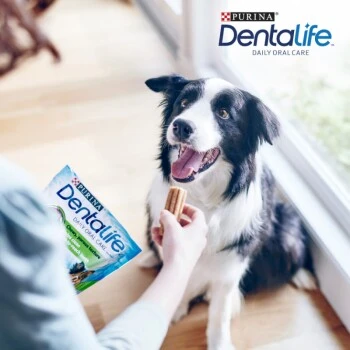 DentaLife PURINA Hunde Zahnpflege-Snacks Großpackung Medium, 84x 4 DentaLife PURINA Hunde Zahnpflege-Snacks Großpackung Medium, 84x – Bild 4