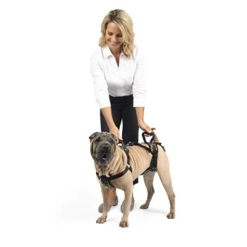 PetSafe CareLift Hebegeschirr Für Hunde Beige/ Schwarz M 2 PetSafe CareLift Hebegeschirr Für Hunde Beige/ Schwarz M – Bild 2