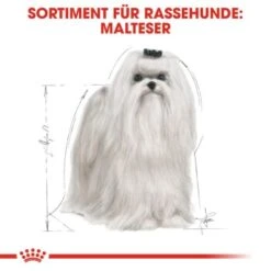 ROYAL CANIN Maltese Adult 1,5 Kg 1,5 Kg 10 ROYAL CANIN Maltese Adult 1,5 Kg 1,5 Kg -Haustierprodukte 3eeb7f69af147bc5f04c404f6669c7f0a526e99c 337199db195a0656d970493cf83194fff6f65266