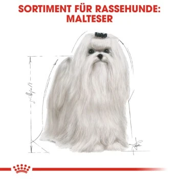 ROYAL CANIN Maltese Adult 1,5 Kg 1,5 Kg 5 ROYAL CANIN Maltese Adult 1,5 Kg 1,5 Kg – Bild 5