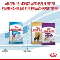 ROYAL CANIN Giant Junior 15 Kg 13 ROYAL CANIN Giant Junior 15 Kg -Haustierprodukte 3f0f320cf0514c60e2d60f64a366dd987cd444ca 3182550707077 7