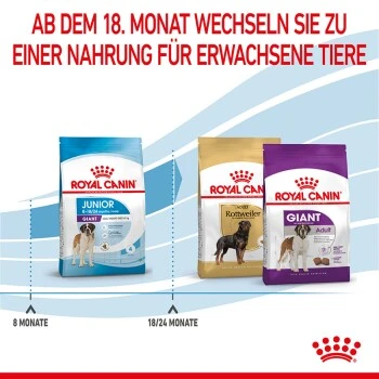ROYAL CANIN Giant Junior 15 Kg 7 ROYAL CANIN Giant Junior 15 Kg – Bild 7