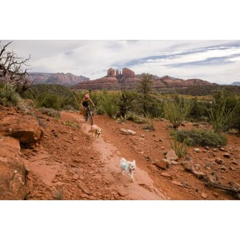 Ruffwear Swamp Cooler Zip™ Kühlweste Für Hunde Pink XL 9 Ruffwear Swamp Cooler Zip™ Kühlweste Für Hunde Pink XL – Bild 9