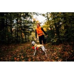 Ruffwear Lumenglow™ High-Vis Hundejacke Orange XL 18 Ruffwear Lumenglow™ High-Vis Hundejacke Orange XL -Haustierprodukte 40663366cb362acd2f222531a6c489c5dd028940 1378153 de DE 6ea16c8681e07ff1404b1bde8c0b1b4ddb6fa478XOeqLy