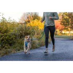 Ruffwear Hi & Light™ Geschirr Blau XXXS -Haustierprodukte 41aa9c4a00fe4c7bd677e6ccec31c531dc5ce87b 1453085 de DE 6db29b23f729dce2900a7bb6a5d18331bf1f96e6Lf19bE