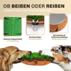 URBAN PAUL Schnüffelteppich - Grün -Haustierprodukte 41b69e30147446053fcf1ef3a5c0ef4e586c3637 1477263 de DE f3d4dc055420076a5d6665754e59033e977ead92pVbA3s