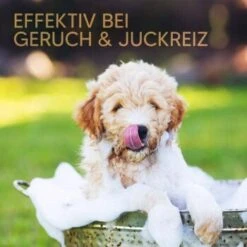 Pawlie's Welpenshampoo 11 Pawlie's Welpenshampoo -Haustierprodukte 42f9c58257fb2002e5c33c2d81bd829c9adeb1cc 1626204 de DE 8b17d3990cf88ea437c76c60b6848183bc9636a5a44ihJ