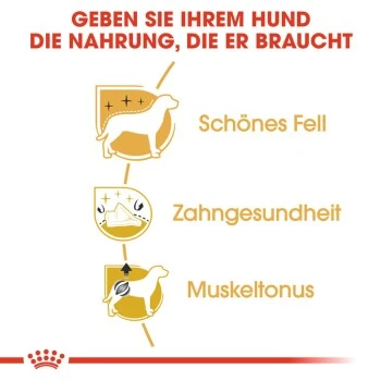 ROYAL CANIN Poodle Adult 7,5 Kg 3 ROYAL CANIN Poodle Adult 7,5 Kg – Bild 3