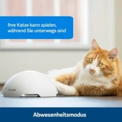 PetSafe Automatisches Katzenspielzeug Fox Den 10 PetSafe Automatisches Katzenspielzeug Fox Den -Haustierprodukte 436796eddc653fbc5ba6c19e00138d58f340ef52 1351524 de DE 2c07966cfa5d20e79e732d930dea56115af33e3axxjuix