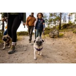 Ruffwear Front Range™ Leine Violett 18 Ruffwear Front Range™ Leine Violett -Haustierprodukte 471debc6c9caa0c928b80631a0e7808038d19c31 1651455 de DE 13a2d9c30381b5aaef7023e308a1fd580ae9822fU7WZfC