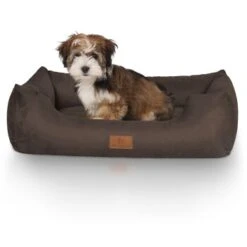 Knuffelwuff Hundebett Dreamline Aus Velours Braun M-L -Haustierprodukte 4874a718fee5f0bdcb64f710c17c88a67ef28955 1411758 de DE dafae6b74b3af75ee424a346e8806ecd50415f171FsFRH