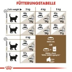 ROYAL CANIN Ageing 12+ Sterilised 4 Kg -Haustierprodukte 4ce8eb38a167b532004afcb21e5f40042d29ae5a 1201903453cc527013bd50d4537b9f7016918cfe
