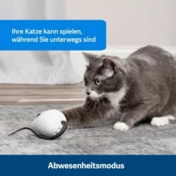 PetSafe Automatisches Katzenspielzeug RoloRat -Haustierprodukte 4e48313abe110e77b48862456b3054c8cbc622dd 1351522 de DE cc35ab35cec54291341f643ff079f60e72f56895BvuHXl