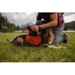 Ruffwear Front Range™ Hundetagesrucksack Rot XS -Haustierprodukte 4e85c5fcf8221559a11a36a85cf18292f16c7ae6 1639836 de DE e32c1ef235eed898fdfb11ee92e223827867be67d4f5kE