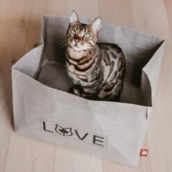 Canadian Cat Company Katzenbett Winnipeg -Haustierprodukte 4f163c23f3c00759be25633fb22100eb50b10eed 1360995 de DE e27163ea0c21fd571c9e22268b69a4d1b68affe5UBt2yy