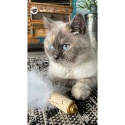 Kater Kasimir Deluxe Set Mit 9 Beliebten Katzenspielzeugen Aus Naturmaterial Und Handgemachtem CATMOM Armband -Haustierprodukte 53dfde9e2fe82dcabccac0c3ca73172551111df6 1408141 de DE 911e17a5e45692f3789ac8bc9aee946048898d74cBDD0E