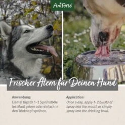 Aniforte Dentalspray Zahnpflege Spray 100ml -Haustierprodukte 5407327dc1ff8b3c62918c78a261300c797ac1a5 1439278 de DE d65d8e1ebeada7690aae8d6a4c6fc70cb3dbb3e9igaN3s