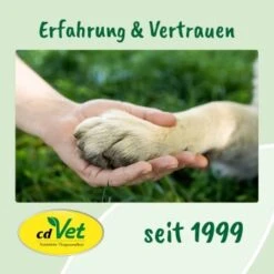 DentaVet Gel 35g 15 DentaVet Gel 35g -Haustierprodukte 545e087e057912f1eb130f03a5533927e129f40b 1249039 de DE f215127866d604991b4efc218004018ddf4470952Q2KTf