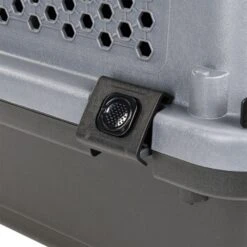 AniOne Transportbox S -Haustierprodukte 5571ef113514f6a3e6ec8cffc0f3e9ecbacdff9f 1384817 6 1