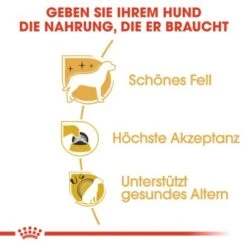 ROYAL CANIN Yorkshire Terrier Adult 1,5 Kg -Haustierprodukte 55eb2ddc01e728035ce25d3d59cb02ce64bf6a83 c56235c0f78a67c501b179d41a4f1def2392c063