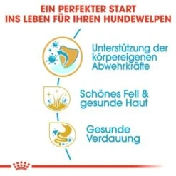 ROYAL CANIN Shih Tzu Puppy 1,5kg 14 ROYAL CANIN Shih Tzu Puppy 1,5kg -Haustierprodukte 56d85e3b7a854f0c3c469e43d2c3c37f7c39b9f9 bd7c3ec6924c08deee4e224cb6dc47b8888a62ab