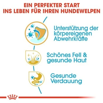 ROYAL CANIN Shih Tzu Puppy 1,5kg 7 ROYAL CANIN Shih Tzu Puppy 1,5kg – Bild 7