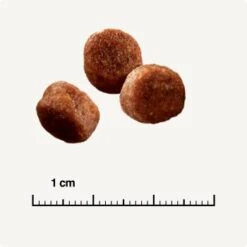 SELECT GOLD Sensitive Digestion Adult Geflügel Und Reis 2,5 Kg -Haustierprodukte 571cc49e96eaa29d93cdb9496136ed90f38f0ce7 1243347 de DE 6