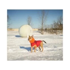 GF Pet Scout Jacke Rot XXS -Haustierprodukte 5991967bf630a1f8d02726fdfd74663dc8e73701 0d63da1ea5654731f0cfde8666f379832b57508d